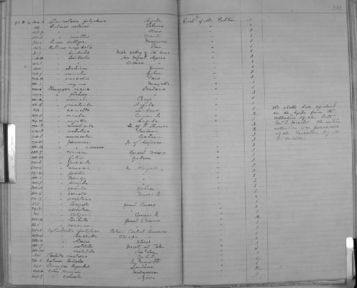 Bulimus dendritis Morelet, 1863 - Zoology Accessions Register: Mollusca: 1884 - 1893: page 233