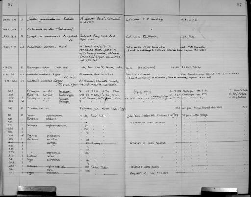 Penaeopsis serratus Spence Bate, 1881 - Zoology Accessions Register: Crustacea: 1976 - 1984: page 87