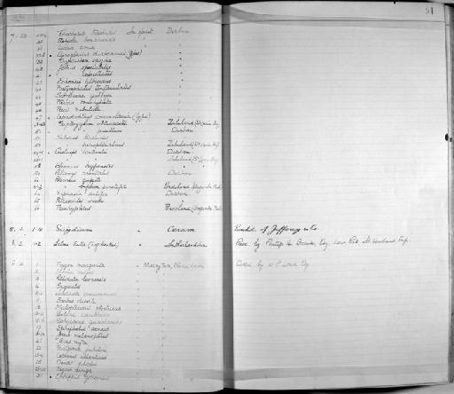 Cynoglossus durbanensis Regan, 1921 - Zoology Accessions Register: Fishes: 1912 - 1936: page 91