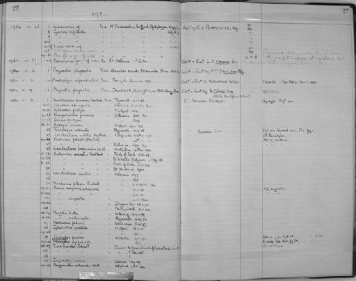 Leuckartiara nobilis Hartlaub, 1914 - Zoology Accessions Register: Coelenterata: 1951 - 1958: page 27
