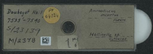 Ammodiscus incertus (d'Orbigny, 1839) - 010142927_2032359_54024