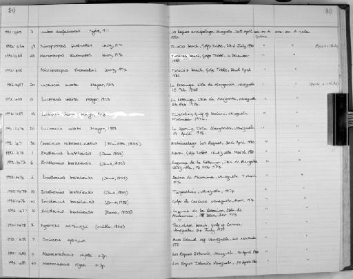 Luconacia incerta parvorder Caprellidira Mayer, 1903 - Zoology Accessions Register: Crustacea: 1991 - 1993: page 90