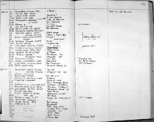 Ortmannia henshawi Rathbun, 1901 - Zoology Accessions Register: Crustacea: 1935 - 1962: page 143