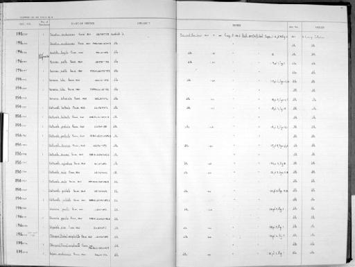 Haminea pusilla Pease, 1860 - Zoology Accessions Register: Mollusca: 1962 - 1969: page 31