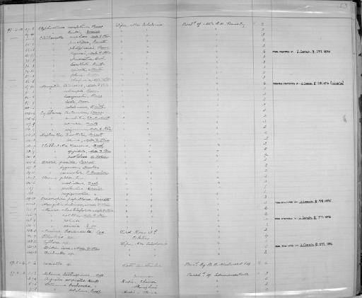 Mangilia trimerta Melvill and Standen - Zoology Accessions Register: Mollusca: 1894 - 1899: page 53