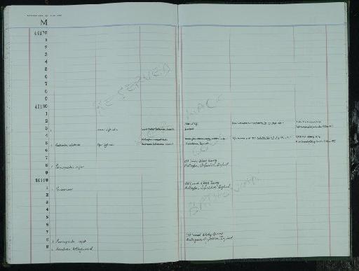 Tritylodontidae Cope, 1884 - NHM-UK_P_DF118_03_40_0281