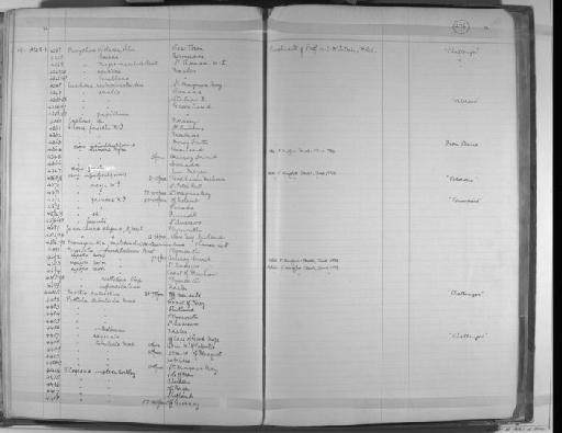 Chone princei McIntosh, 1916 - Zoology Accessions Register: Annelida & Echinoderms: 1884 - 1923: page 275