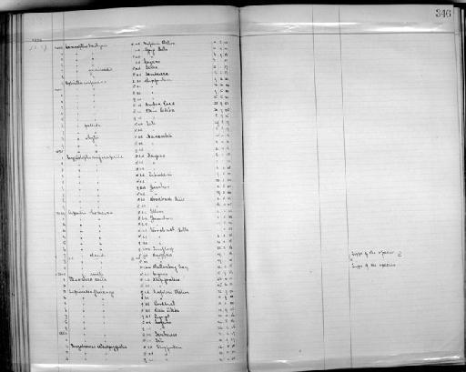 Apalis claudei W.L. Sclater, 1910 - Zoology Accessions Register: Aves (Skins): 1904 - 1905: page 346