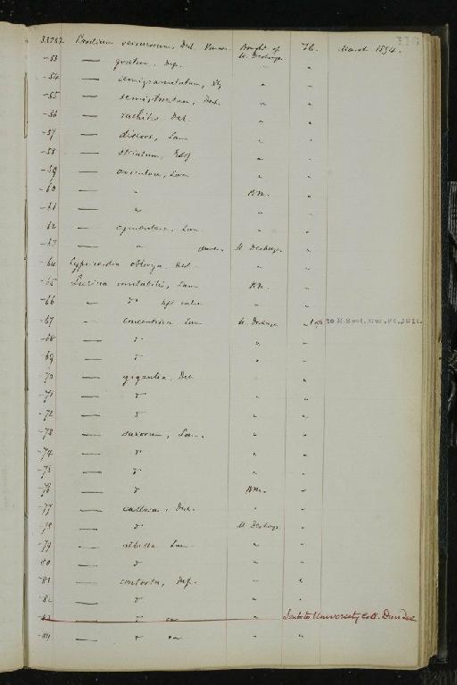 Protosphyraena ferox Leidy, 1857 - NHM-UK_P_DF118_02_01_0233