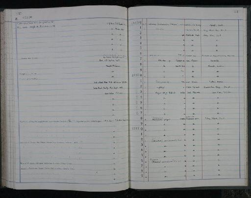 Leptolepis Agassiz, 1843 - NHM-UK_P_DF118_03_15_0295