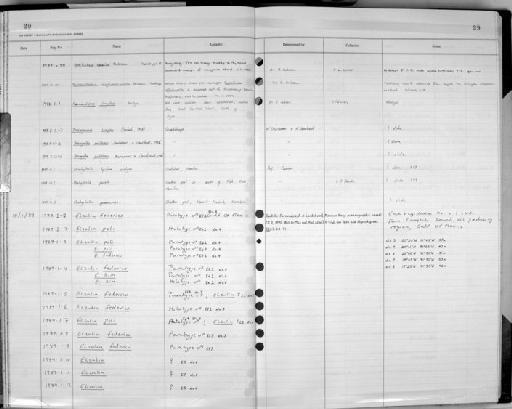 Psammamphiporus elongatus (Stephenson, 1911) - Zoology Accessions Register: Nemtoda: 1977 - 1993: page 29