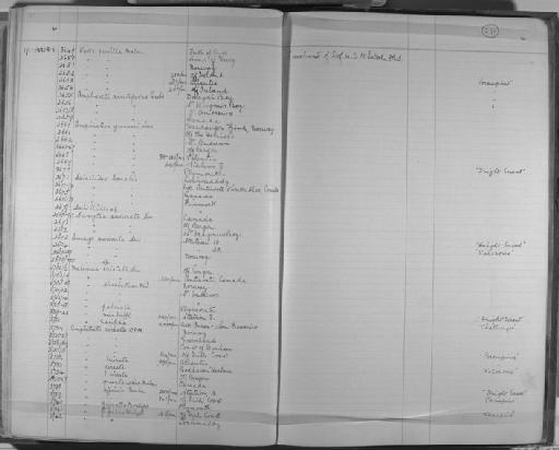 Melinna macduffi - Zoology Accessions Register: Annelida & Echinoderms: 1884 - 1923: page 271