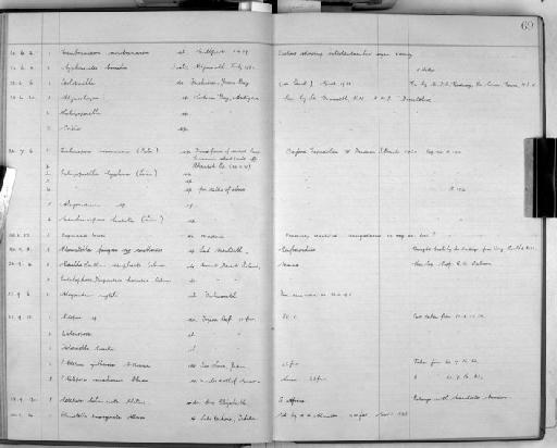 Cyphonautes borealis - Zoology Accessions Register: Bryozoa: 1922 - 1949: page 69