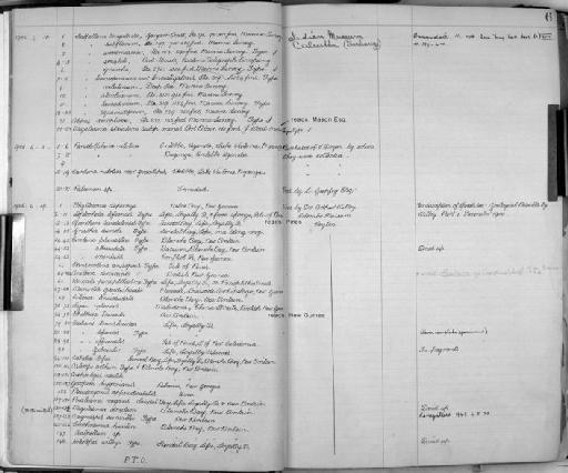 Caridina nilotica gracilipes var. gracilipes - Zoology Accessions Register: Crustacea: 1905 - 1935: page 6