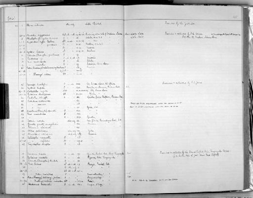 Rhinolophus fumigatus diversus Sanborn, 1939 - Zoology Accessions Register: Mammals: 1952 - 1964: page 135