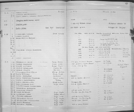 Glyptothorax major (Boulenger, 1894) - Zoology Accessions Register: Fishes: 1961 - 1971: page 209