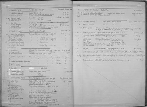 Centropyge resplendens Lubbock & Sankey, 1975 - Zoology Accessions Register: Fishes: 1971 - 1985: page 125