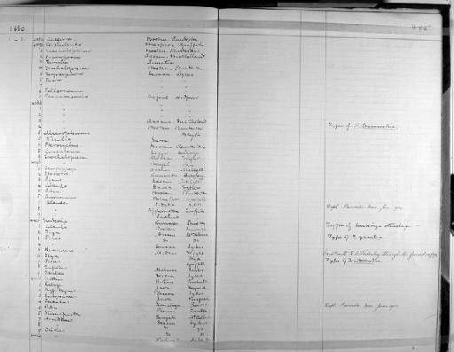 Paradoxornis ruficeps Blyth, 1842 - Zoology Accessions Register: Aves (Skins): 1874 -1880: page 445