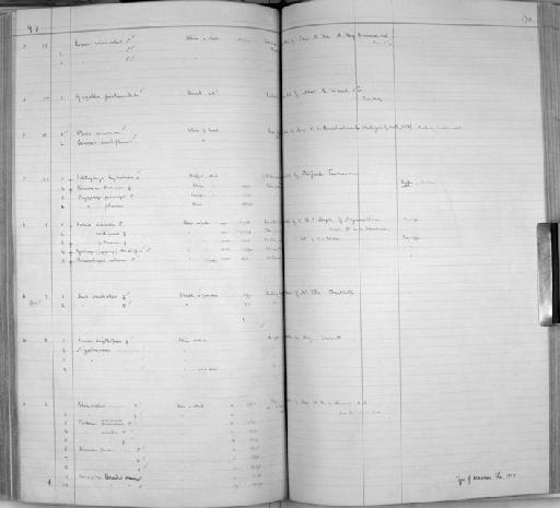 Sus barbatus Müller, 1838 - Zoology Accessions Register: Mammals: 1891 - 1898: page 170