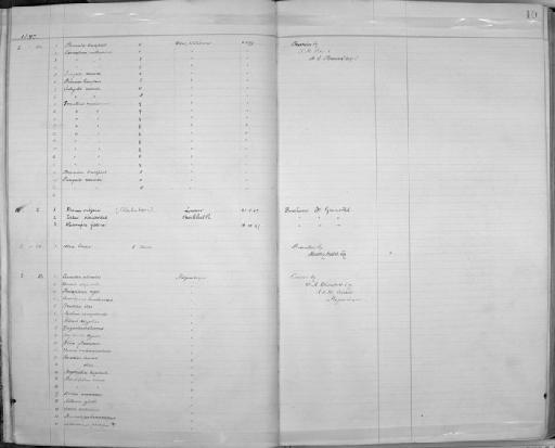 Corvus albicollis Latham, 1790 - Zoology Accessions Register: Aves (Skins): 1896 -1900: page 10