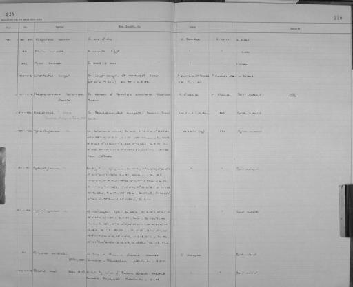 Cristitectus congeri Petter, 1970 - Zoology Accessions Register: Aschelminth N4: 1977 - 1989: page 238