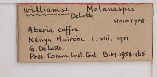 Melanaspis williamsi De Lotto, 1957 - 010714591_additional