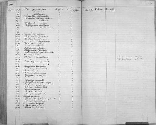 Novacula dea - Zoology Accessions Register: Reptiles & Fishes: 1893 - 1903: page 330