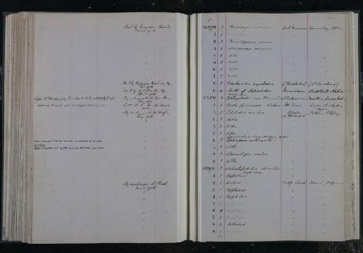 Legnonotus krambergeri Bartram, 1977 - NHM-UK_P_DF118_03_10_0207