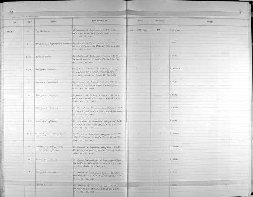 Derogenes varicus (Müller, 1784) Looss, 1901 - Zoology Accessions Register: Platyhelminth: 1987 - 1993: page 31