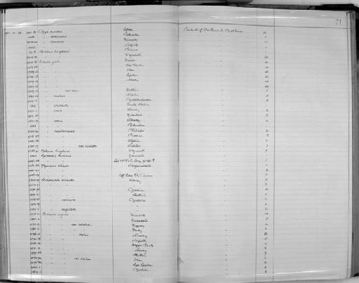 Corbula gibba rosea - Zoology Accessions Register: Mollusca: 1911 - 1924: page 71