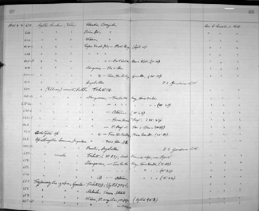 Trypanosyllis zebra Grube, 1840 - Zoology Accessions Register: Annelida: 1936 - 1970: page 80