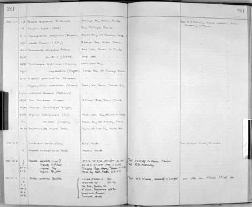 Palaemonetes intermedius Holthuis, 1949 - Zoology Accessions Register: Crustacea: 1935 - 1962: page 201