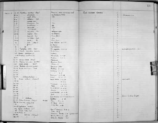 Cyclostrema cancellata Marryat, 1819 - Zoology Accessions Register: Mollusca: 1938 - 1955: page 130