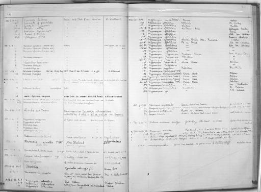 Thalassoma klunzingeri Fowler & Steinitz, 1956 - Zoology Accessions Register: Fishes: 1971 - 1985: page 319