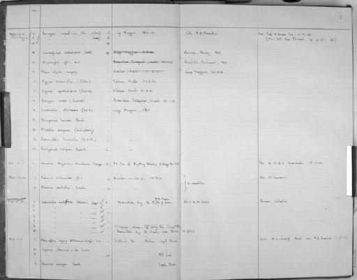 Isocypris nocentiniae Fox, 1963 - Zoology Accessions Register: Crustacea (Entomostraca): 1963 - 1982: page 2