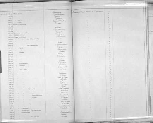 Nassa reticulata (Linnaeus, 1758) - Zoology Accessions Register: Mollusca: 1906 - 1911: page 192