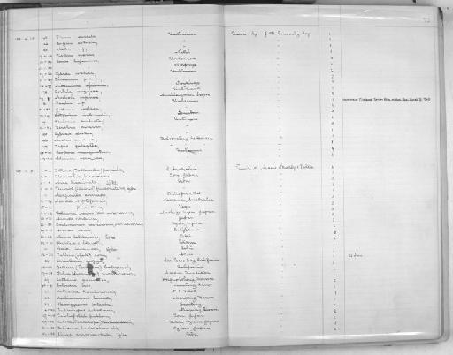 Elusa crassicostata subterclass Tectipleura G. B. Sowerby III, 1901 - Zoology Accessions Register: Mollusca: 1900 - 1905: page 72