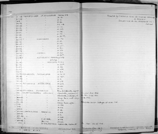 Trematocara kufferathi Poll, 1948 - Zoology Accessions Register: Fishes: 1961 - 1971: page 16