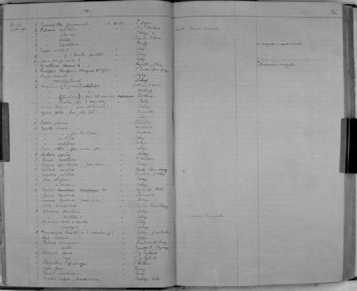 Caprella acutifrons parvorder Caprellidira Latreille, 1816 - Zoology Accessions Register: Crustacea: 1876 - 1905: page 31