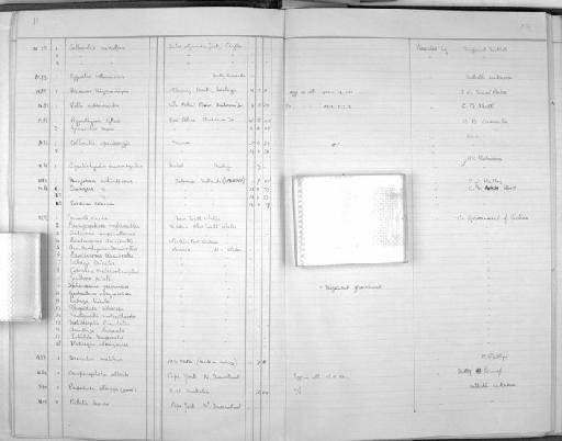 Acanthorhynchus tenuirostris tenuirostris - Zoology Accessions Register: Aves (Nest): 1959 - : page 12