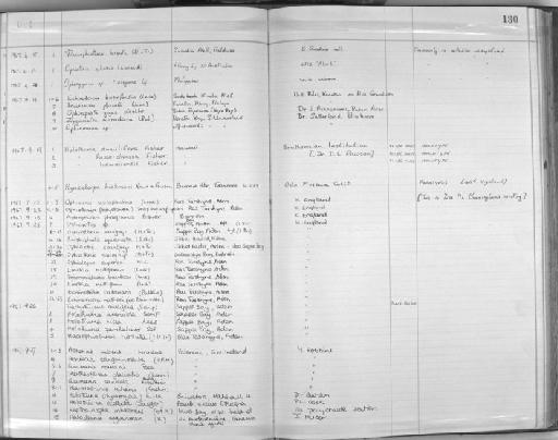 Ophiogymna elegans Ljungman, 1866 - Zoology Accessions Register: Echinodermata: 1935 - 1984: page 180