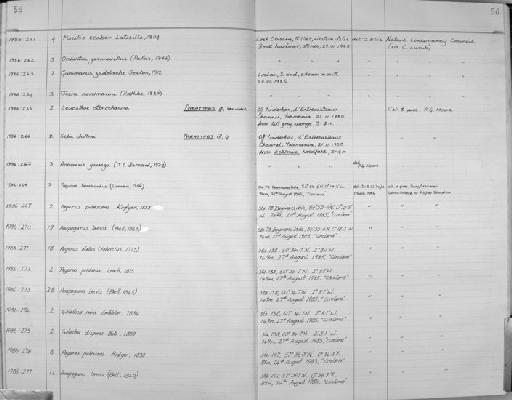Seba chiltoni parvorder Amphilochidira Moore, 1987 - Zoology Accessions Register: Crustacea: 1984 - 1991: page 56