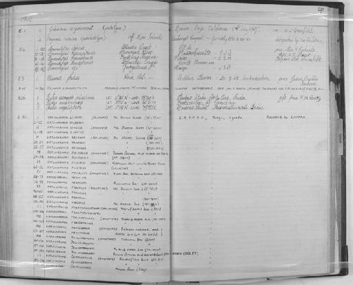 Haplochromis fusiformis Greenwood & Gee, 1969 - Zoology Accessions Register: Fishes: 1961 - 1971: page 148