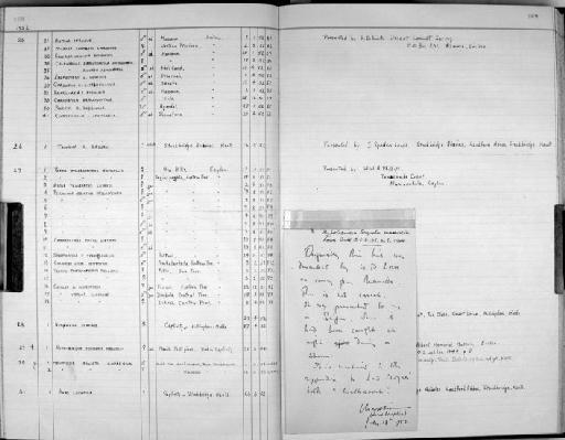 Eremopterix leucotis (Stanley, 1814) - Zoology Accessions Register: Aves (Skins): 1951 -1954: page 169