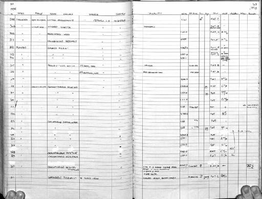 Cercopithecus aethiops tantalus - MA24 Mammal register scan