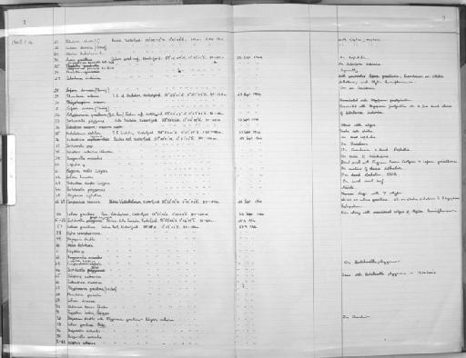Halecium beanii (Johnston, 1838) - Zoology Accessions Register: Coelenterata: 1964 - 1977: page 3