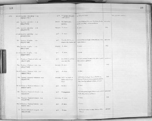 Pileolaria alata Knight-Jones,  1978 - Zoology Accessions Register: Polychaeta: 1967 - 1989: page 140