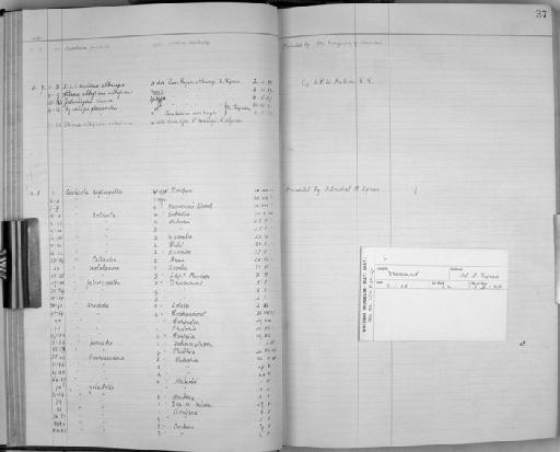 Cisticola aridulus kalahari Ogilvie-Grant, 1910 - Zoology Accessions Register: Aves (Eggs): 1926 - 1945: page 37
