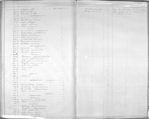 Helicina mediana Gassies, 1870 - Zoology Accessions Register: Mollusca: 1877 - 1883: page 210