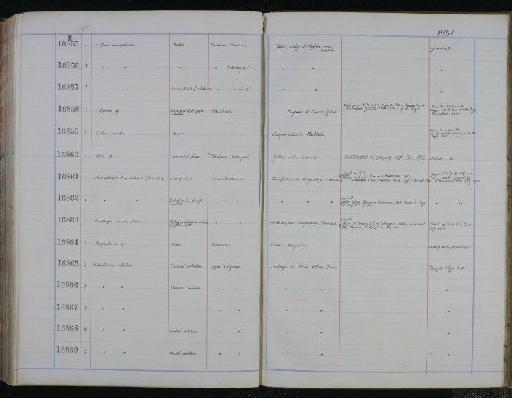 Ovibos moschatus Zimmermann, 1780 - NHM-UK_P_DF118_03_34_0317